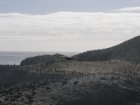 img128.jpeg.small.jpeg