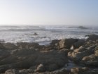 img154.jpeg.small.jpeg