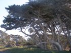 img033.jpeg.small.jpeg