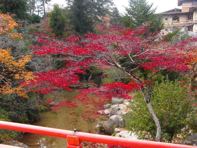 Mijadžima, zahrada Momidži