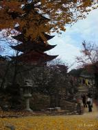 Mijadžima, pagoda