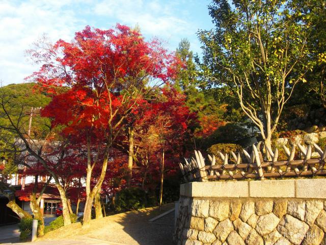 Kjóto, cesta k zahradě u Kijomizu-dera
