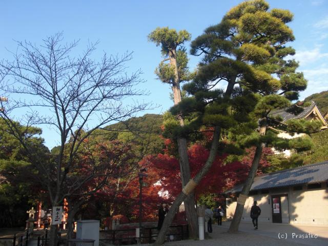 Kjóto, cesta k zahradě u chrámu Kijomizu-dera