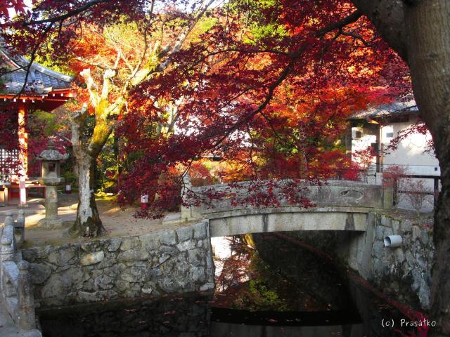Kjóto, zahrada u Kijomizu-dera