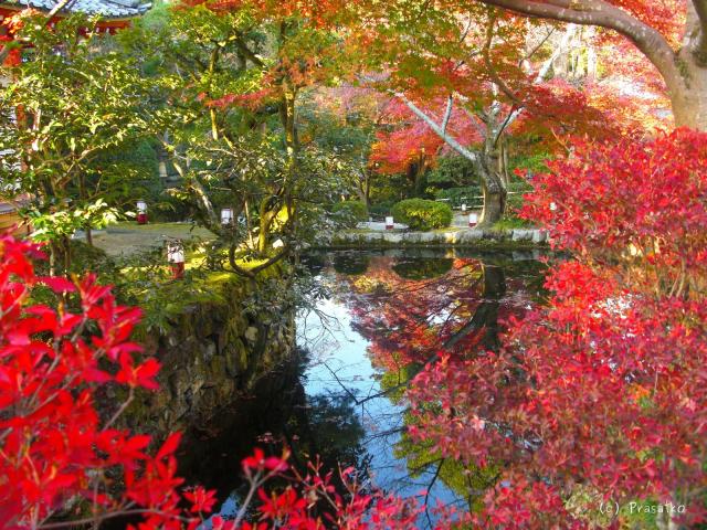 Kjóto, zahrada u Kijomizu-dera