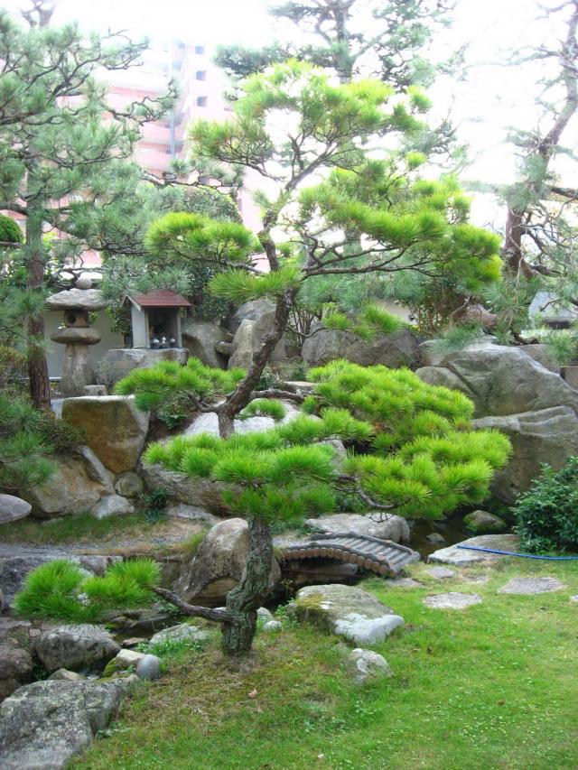 Japonská zahrada 11