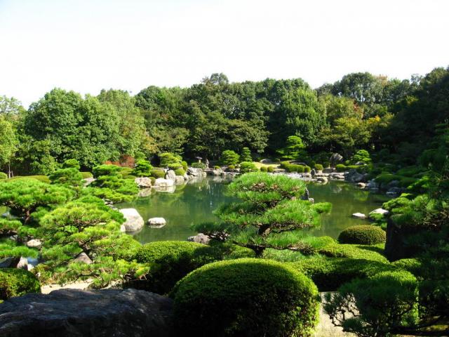 Japonská zahrada 10