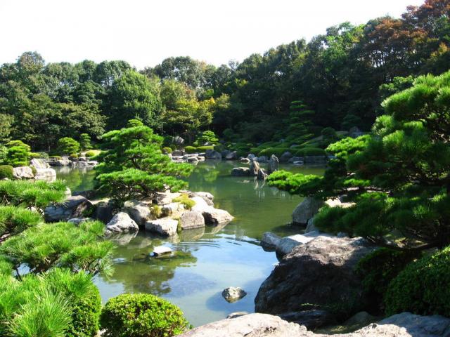 Japonská zahrada 9