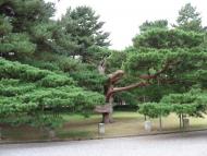 Císařův park v Kyotu