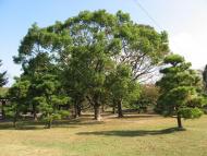 Park ve Fukuoce
