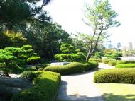 Japonská zahrada 6