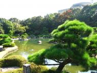 Japonská zahrada 5
