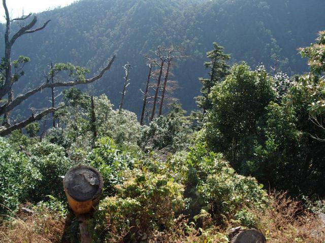Pohled z hory Miyajima