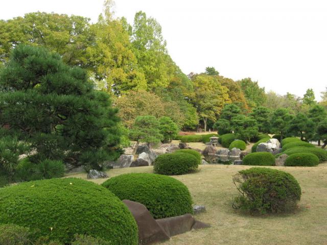 Japonská zahrada 2