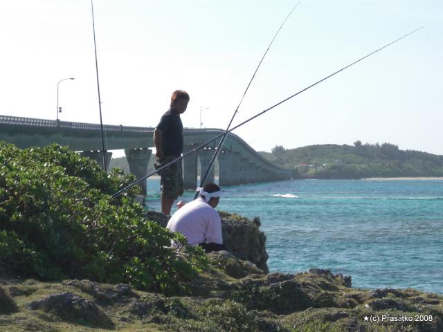 Rybaření